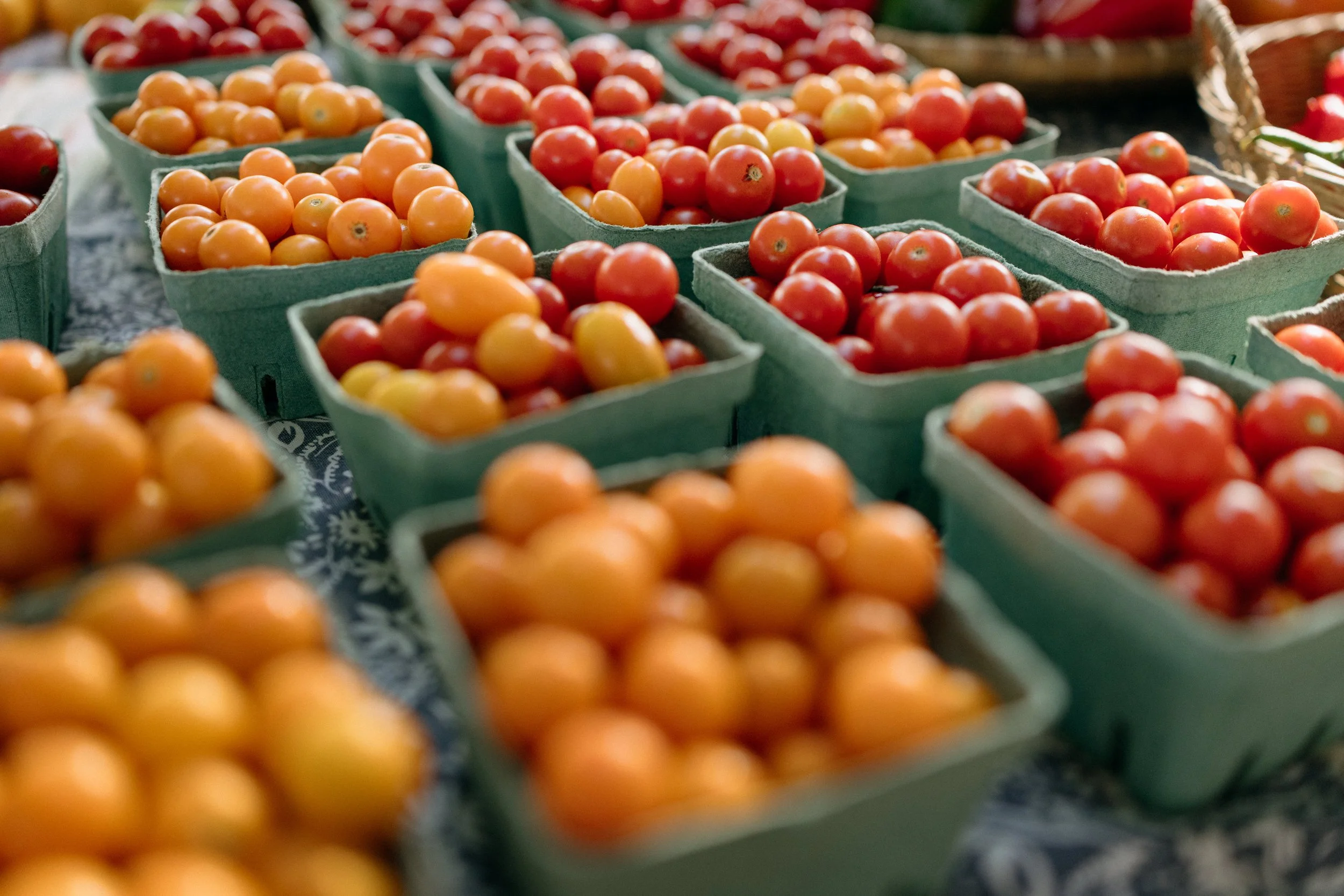 Farmers_market_2025_sheny_leon-225.jpg