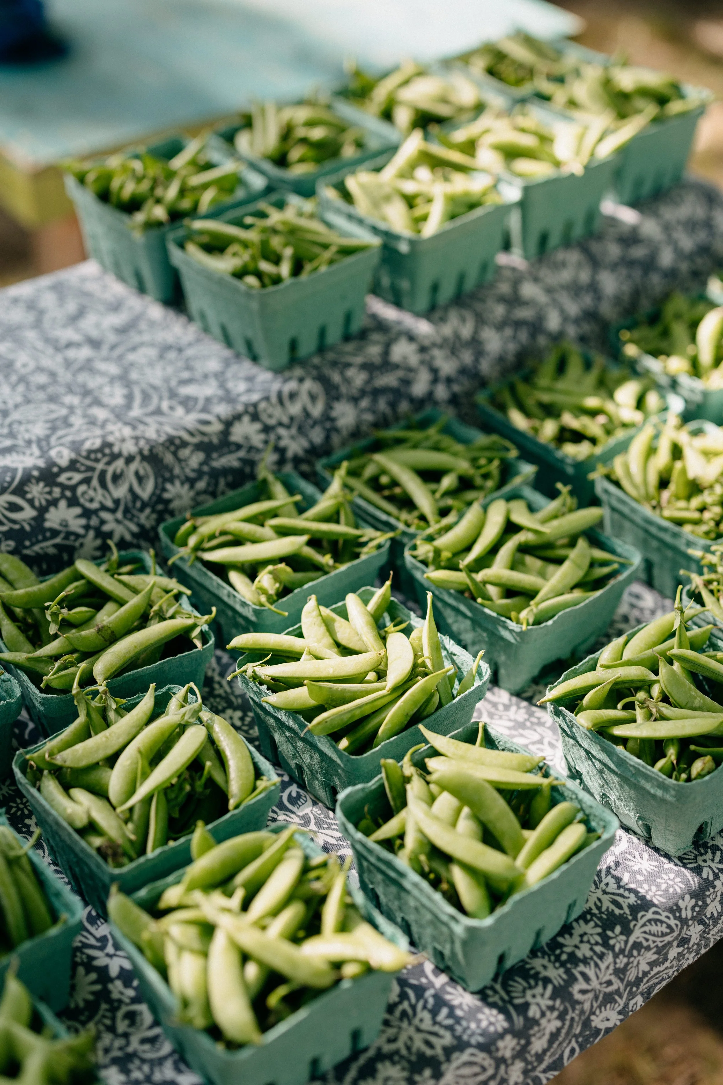 Farmers_market_2025_sheny_leon-86.jpg