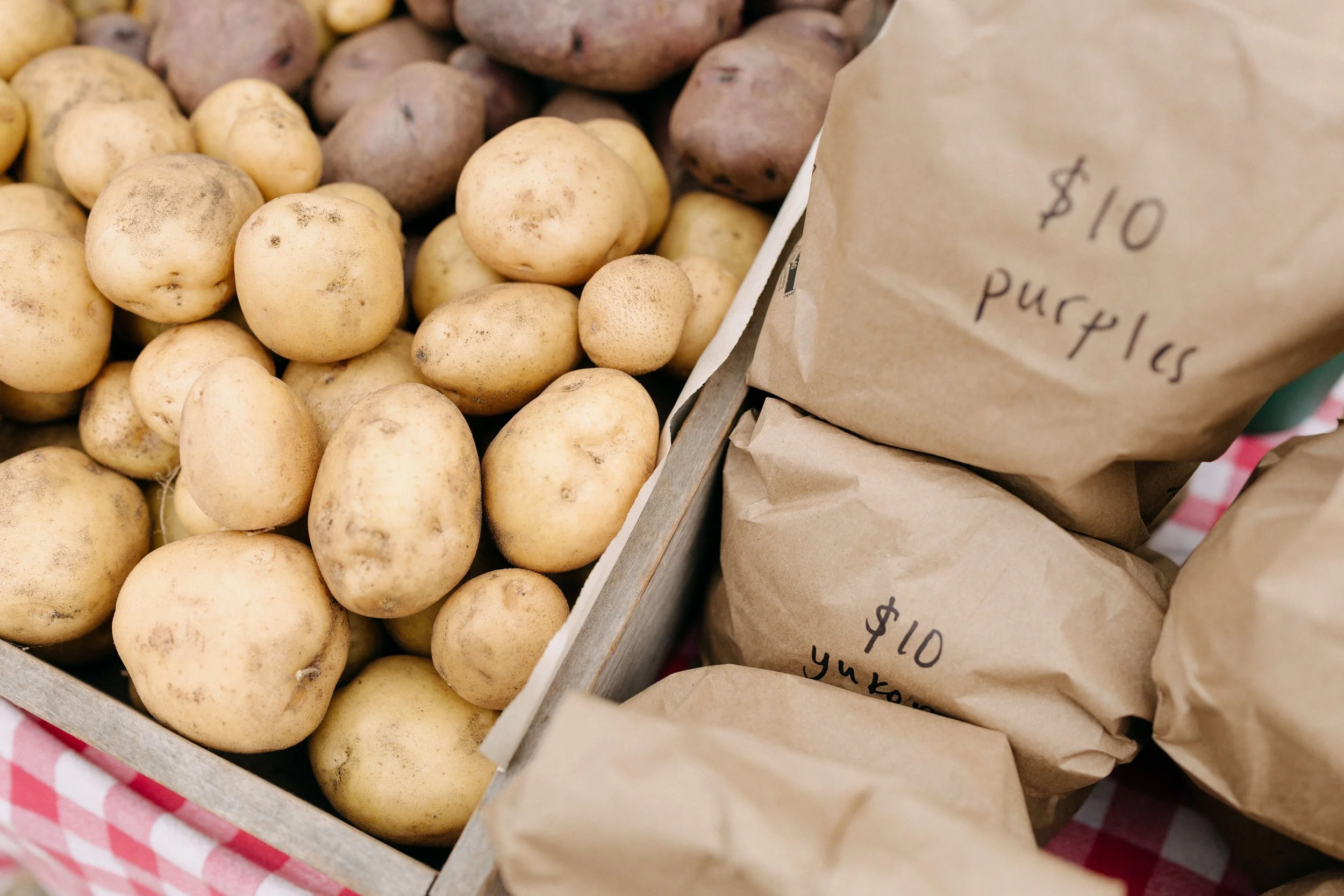 Farmers_market_2025_sheny_leon-161.jpg