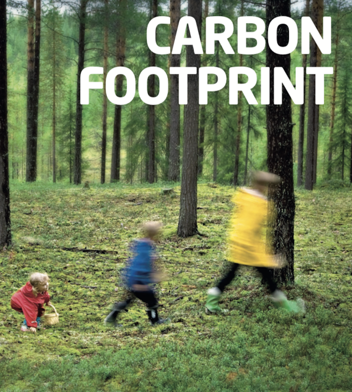 Carbon.png