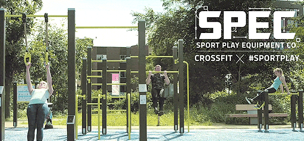 SSX-FIT.gif