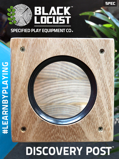 BlackLocust+-+DiscoveryBLU.gif