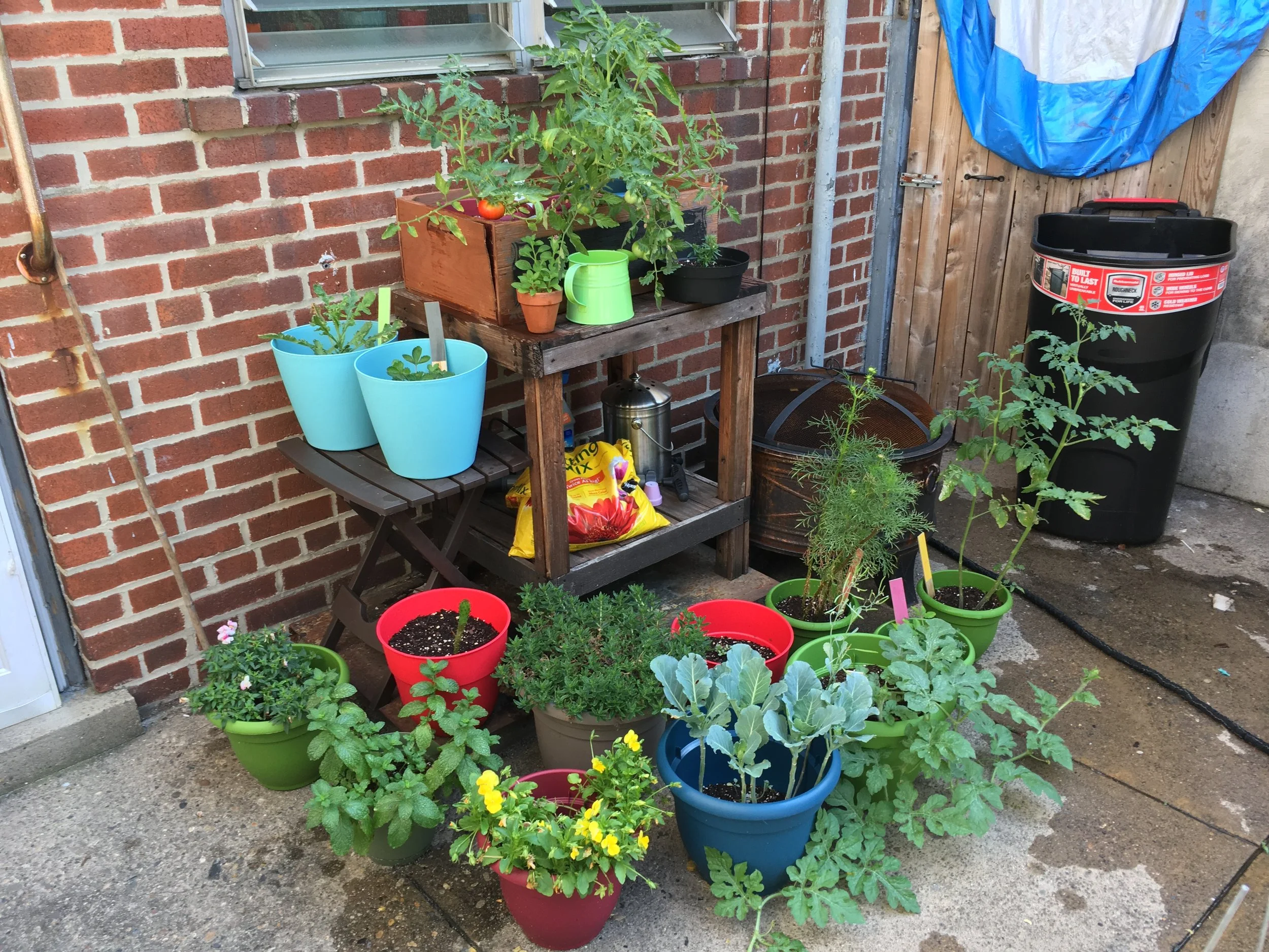 2017-06-22 09.57.11 HDR.jpg