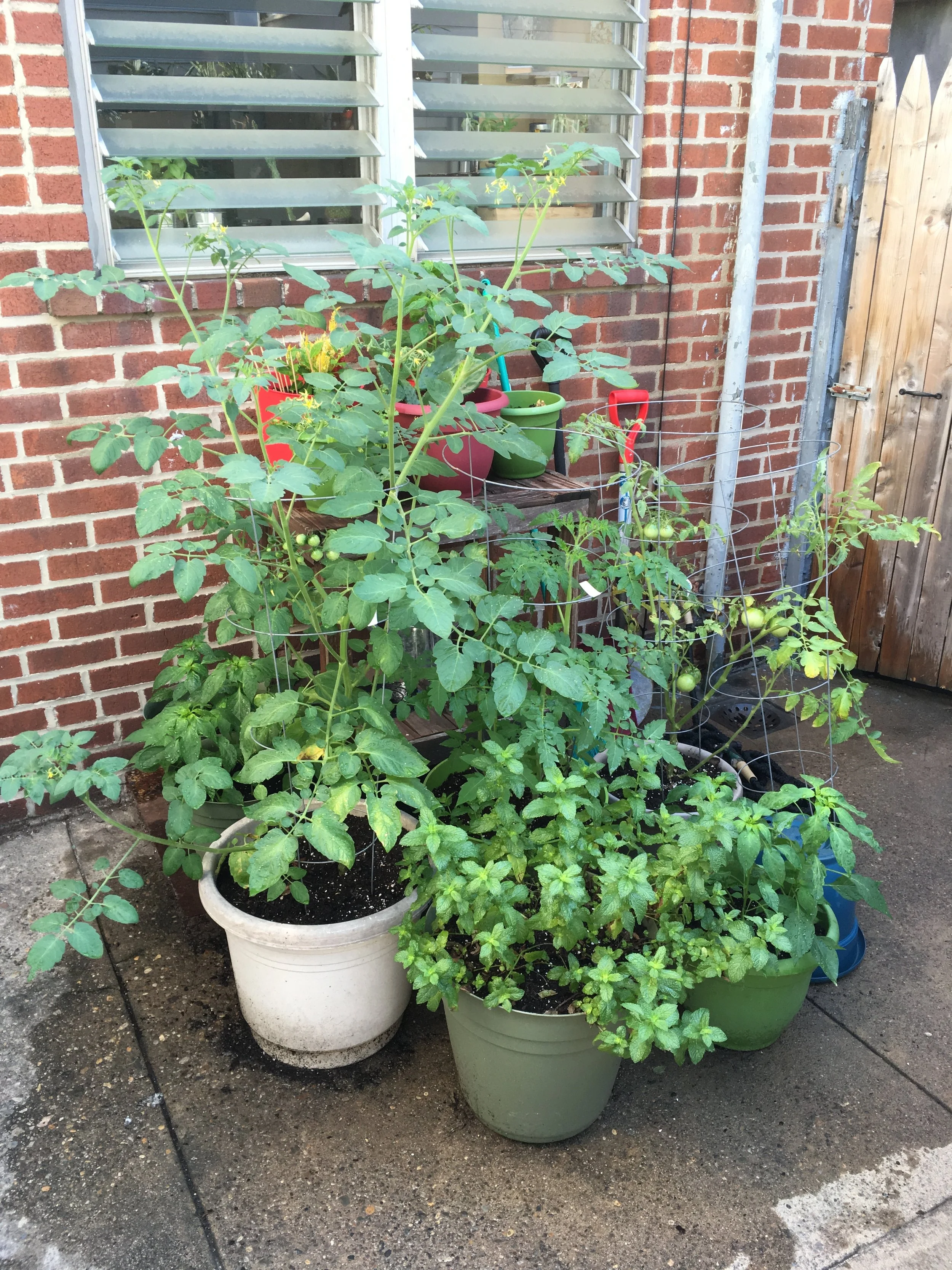 2018-06-29 09.32.52.jpg
