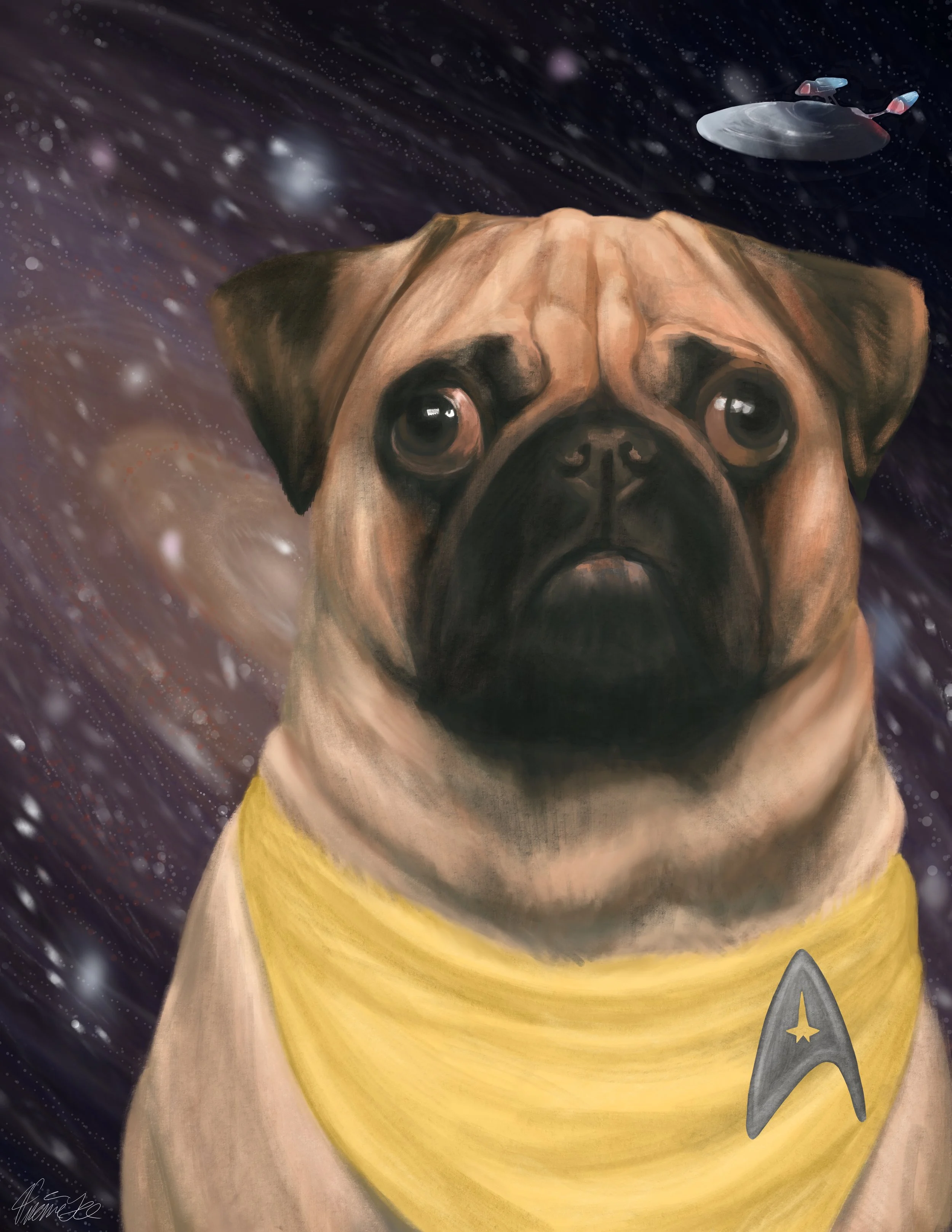 Star Pug