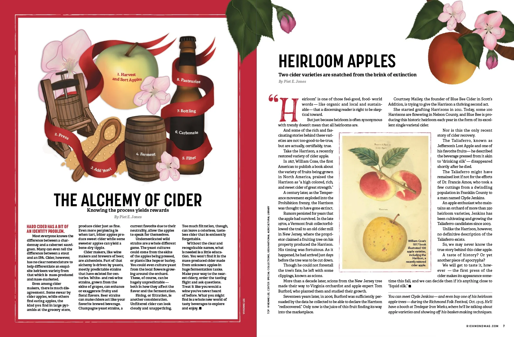 The Alchemy of Cider Article