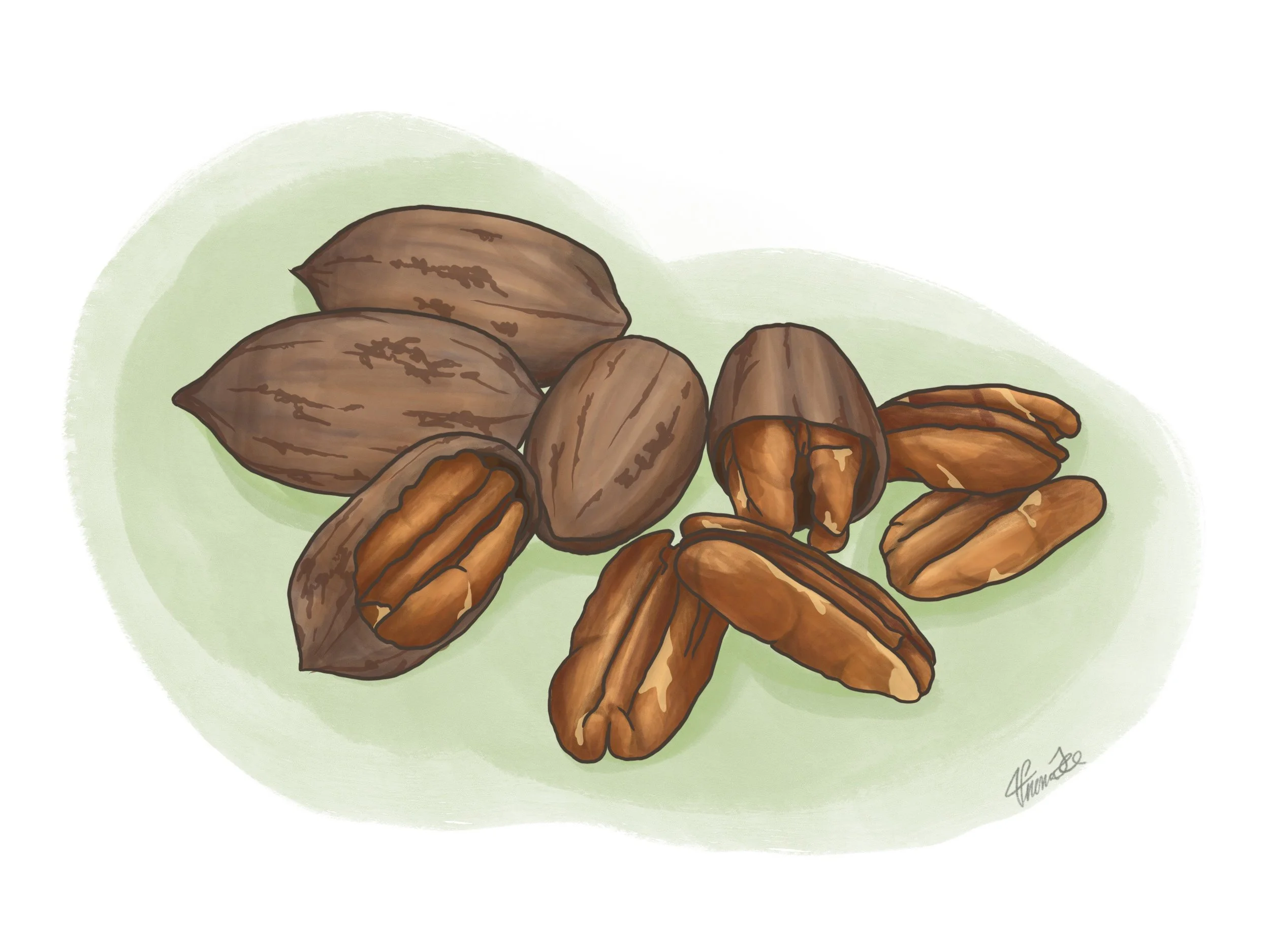 Pecans II