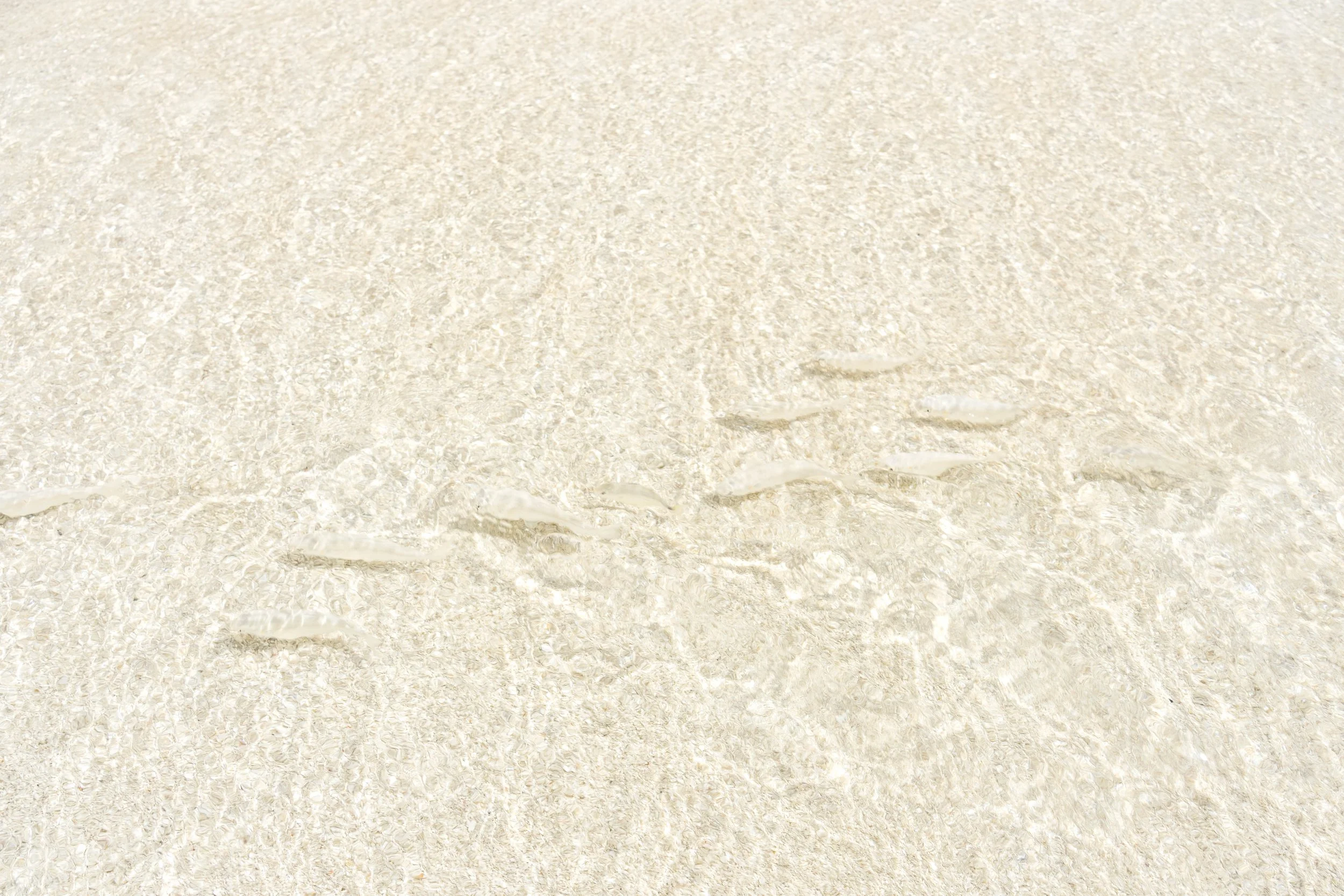 Jumby Bay Island-15.jpg