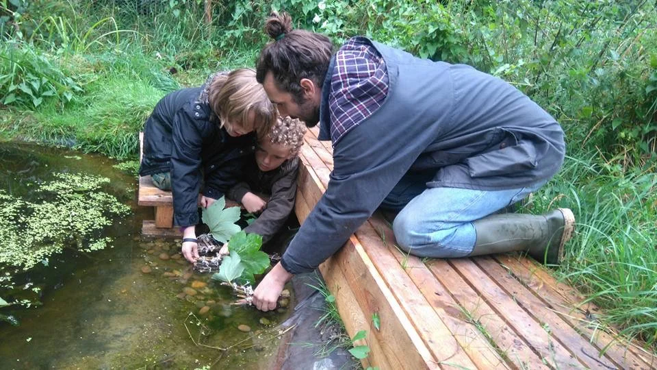 File 28-03-2017, 19 54 21.jpeg