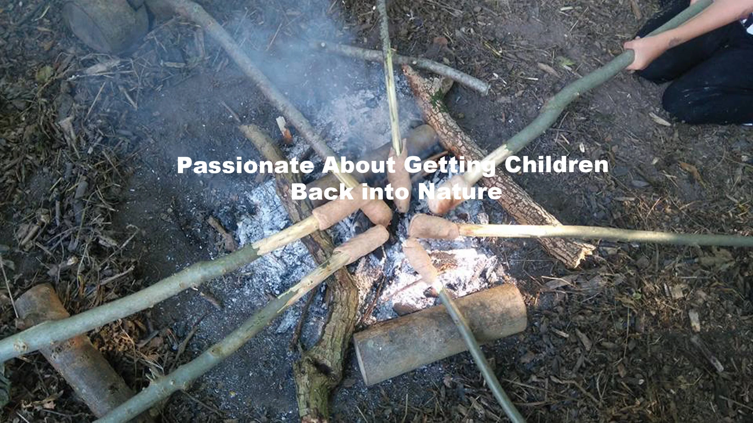 Come in to the woods today!