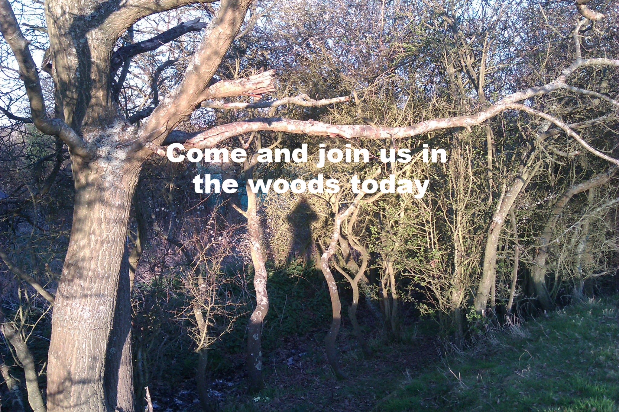 File 28-03-2017, 20 15 43.jpeg