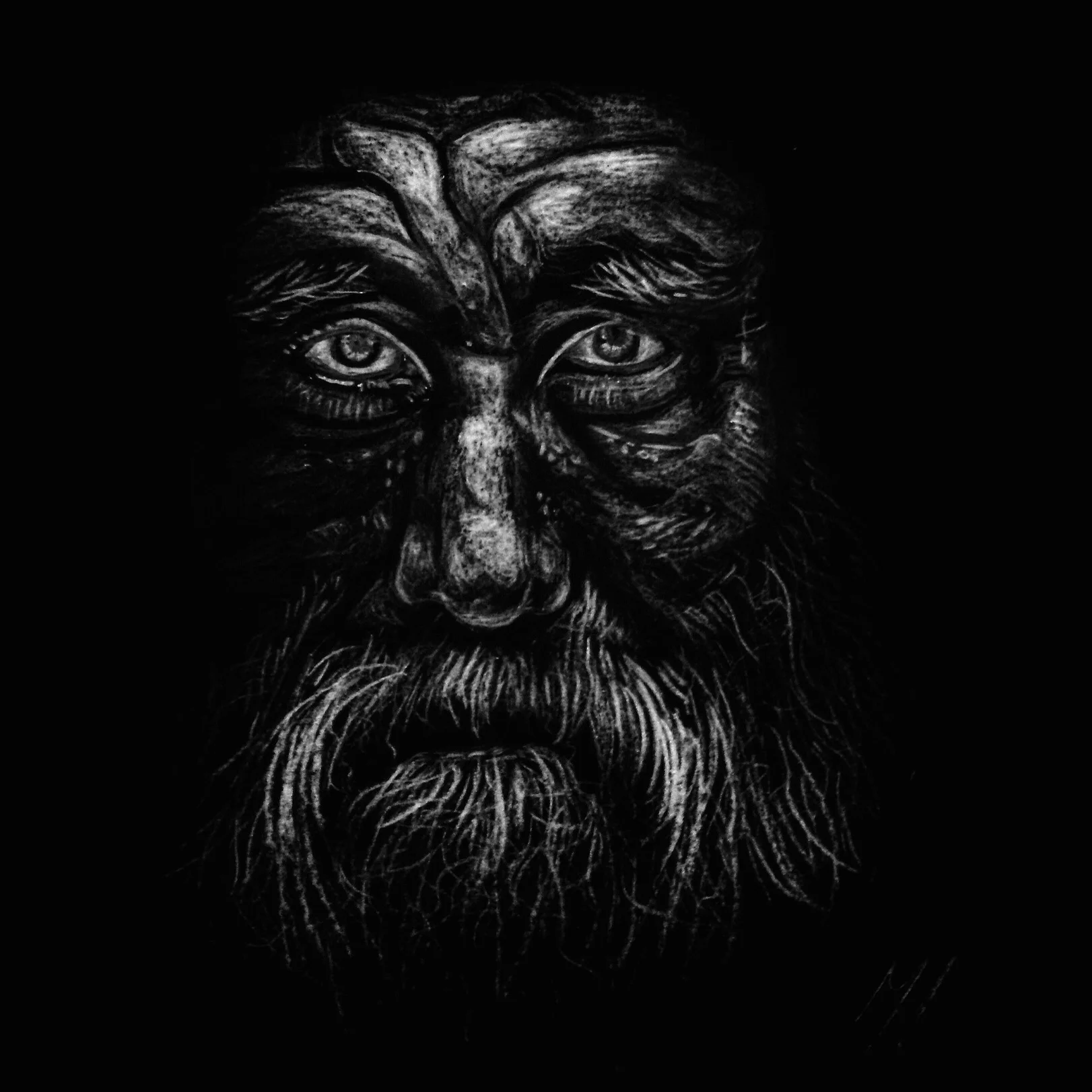 Wise in the woods