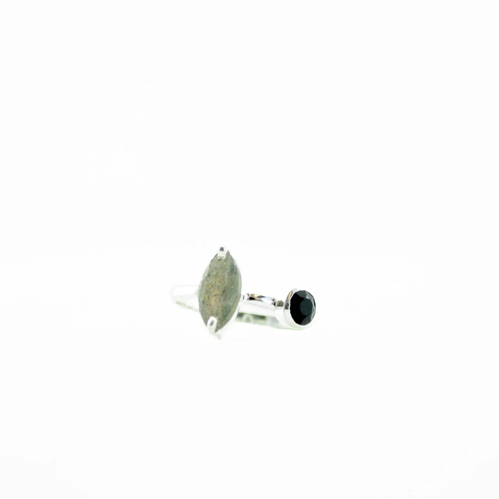 Chara_lab & blk onyx_ring_silver.jpg