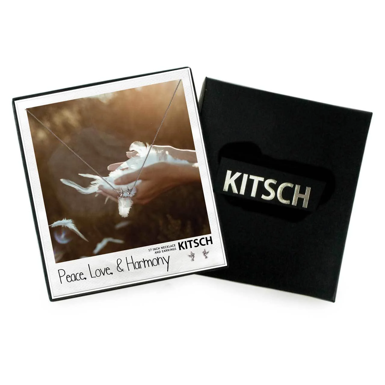 FW18-PolaroidBox-necklaceEarringSet-300dpisilver-dove-1280__42333.1530636293.1280.1280.jpg