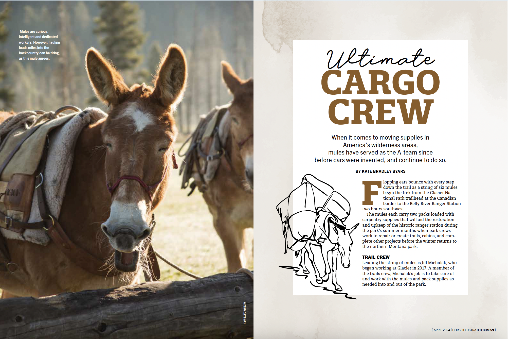 Screenshot 2026-01-12 at 11.14.57 AM.png