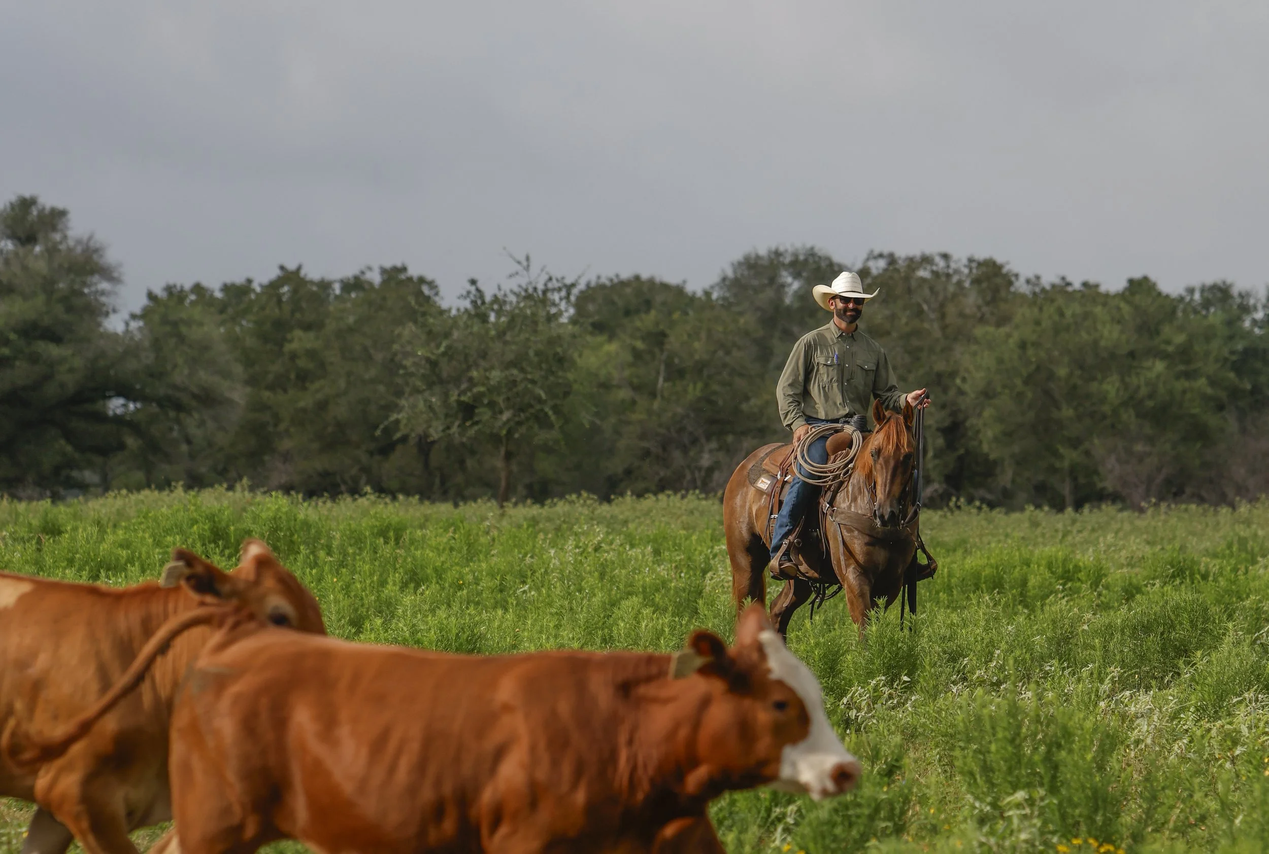 25.07 WHParkeGreeson_18.jpg