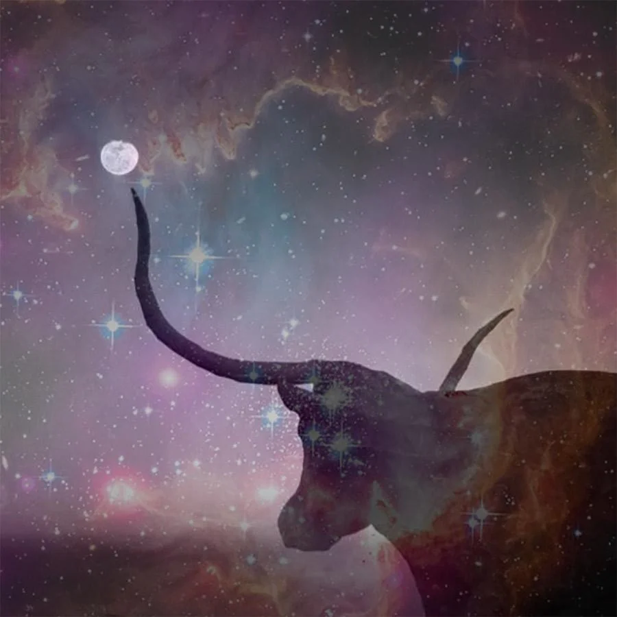 taurusmoon_1edabf0d-0076-4e08-a8f9-087db85a0499_2048x.jpg