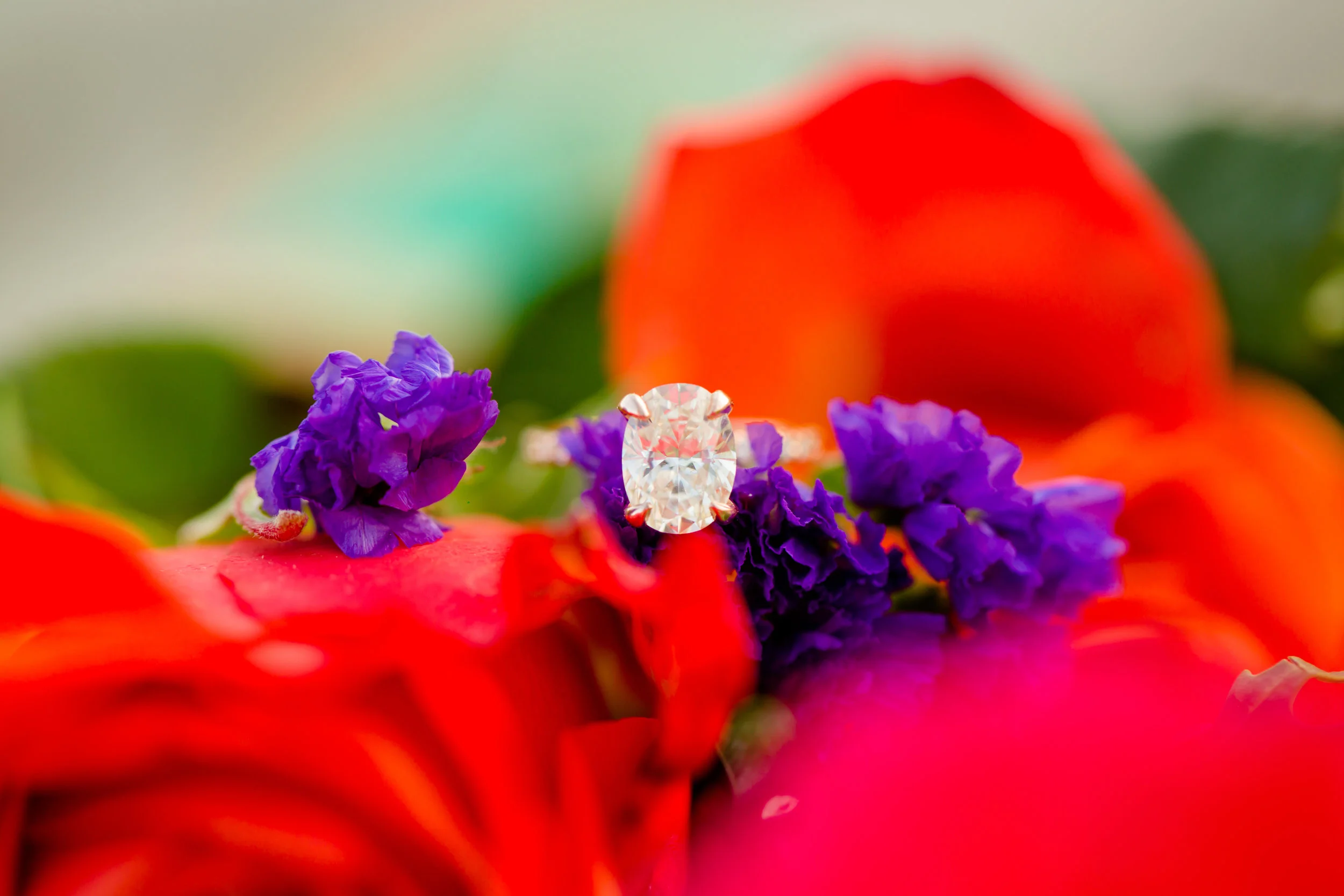 hayley ring.jpg