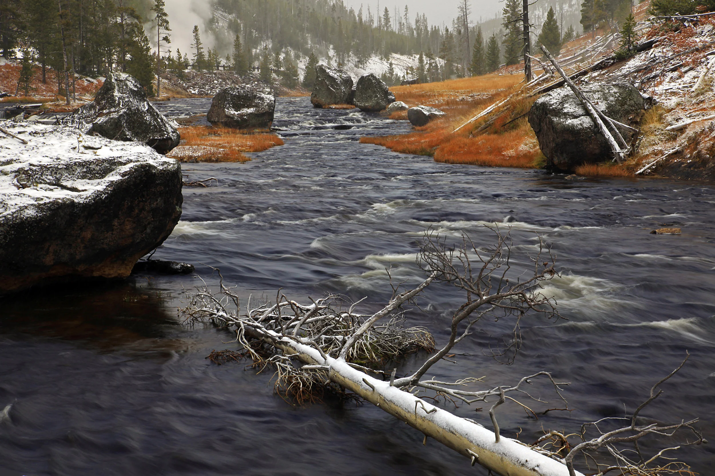 River of Fallen Trees, Yellowstone, WY 2010.jpg