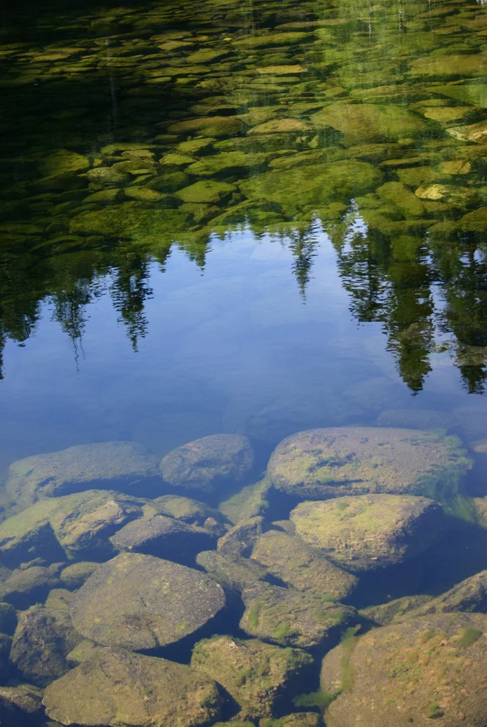 BC Salmon Hatchery Reflection.jpg