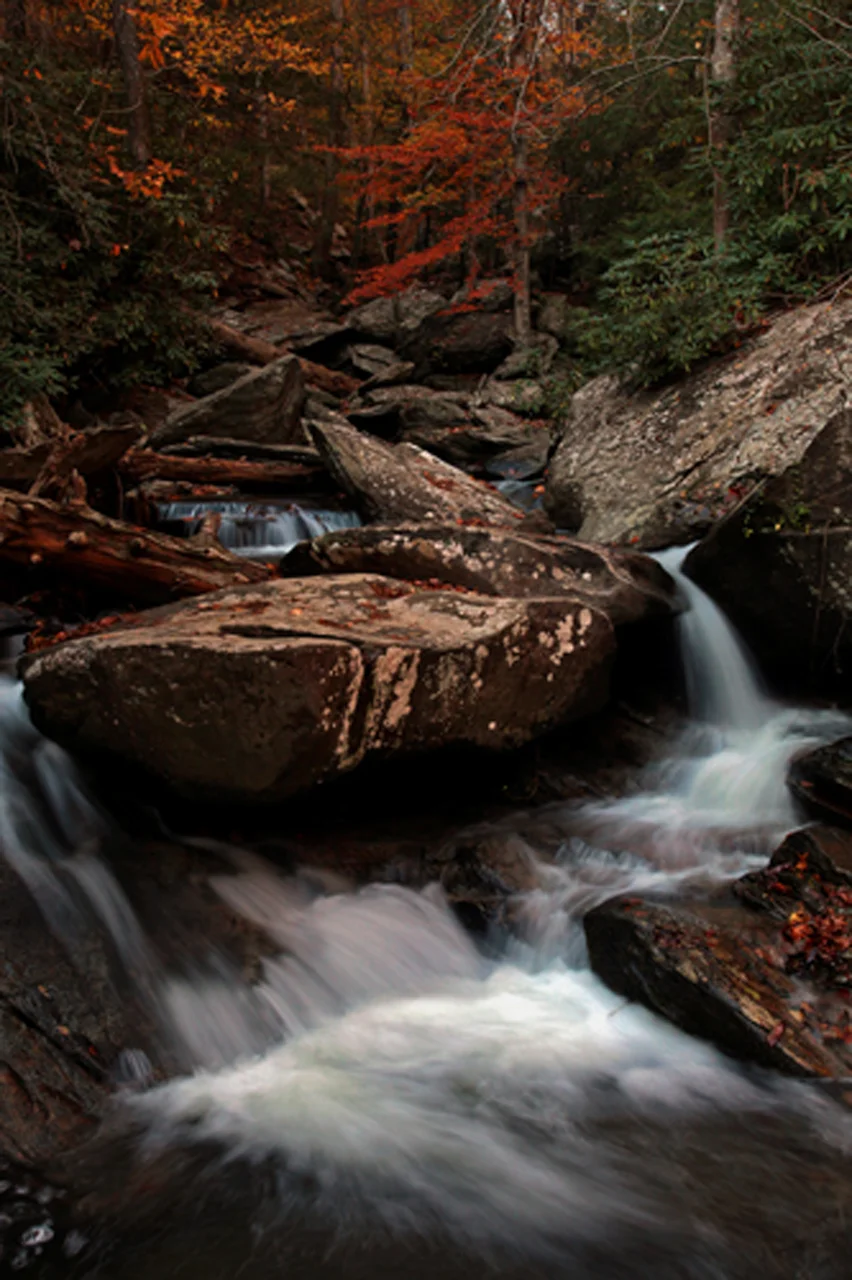 Cascade TN15.jpg