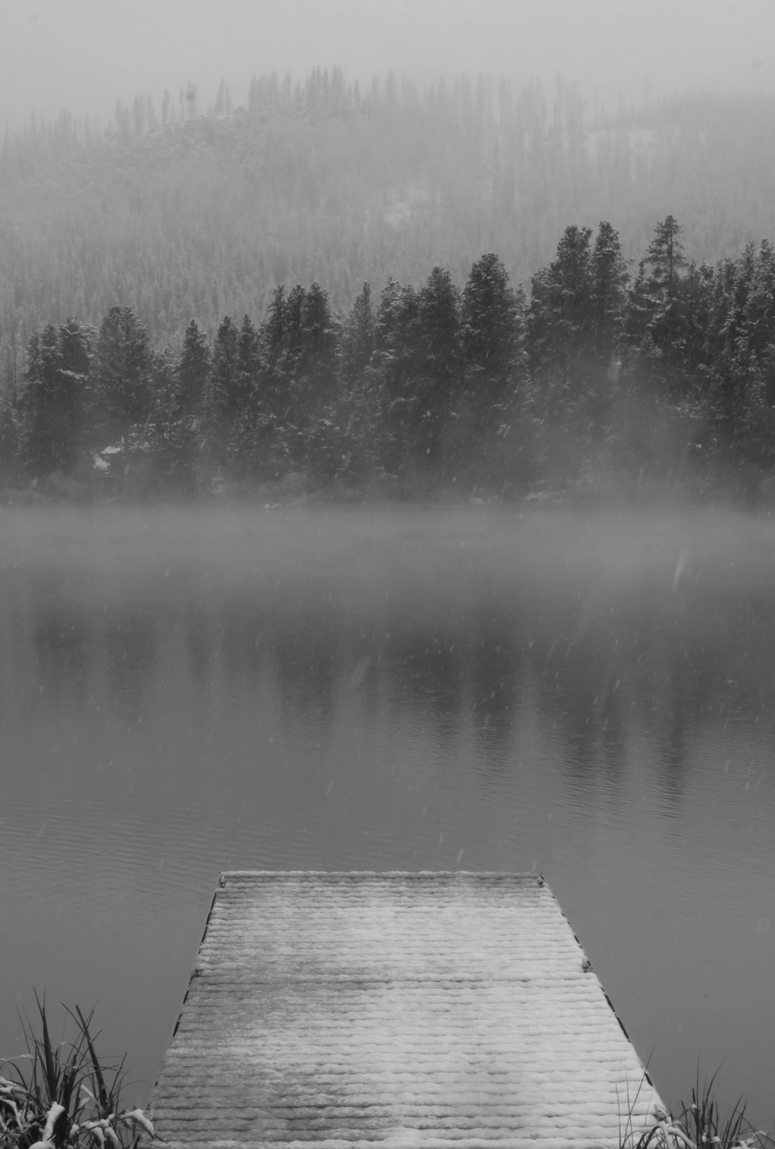 Snjow Dock skew BW BEST_3421 crop.jpg