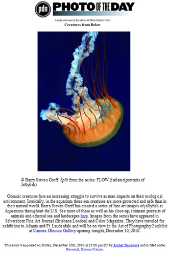 BSG's Downward Spiral featured on PDN's Photo of the Day