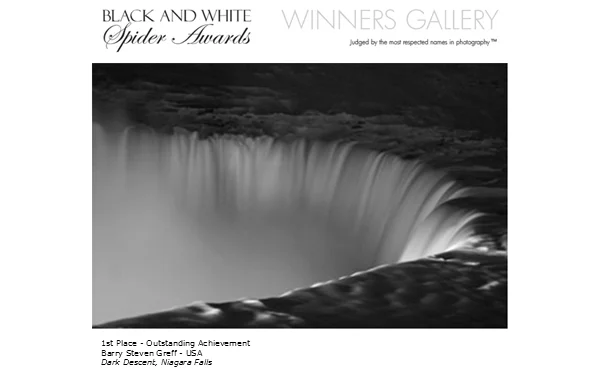 BSG awarded in the Black and White Spider Awards, 2010