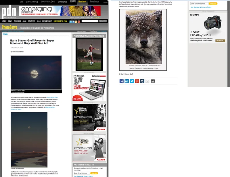 PDN Photoserve announcement of BSG's work, January 2014
