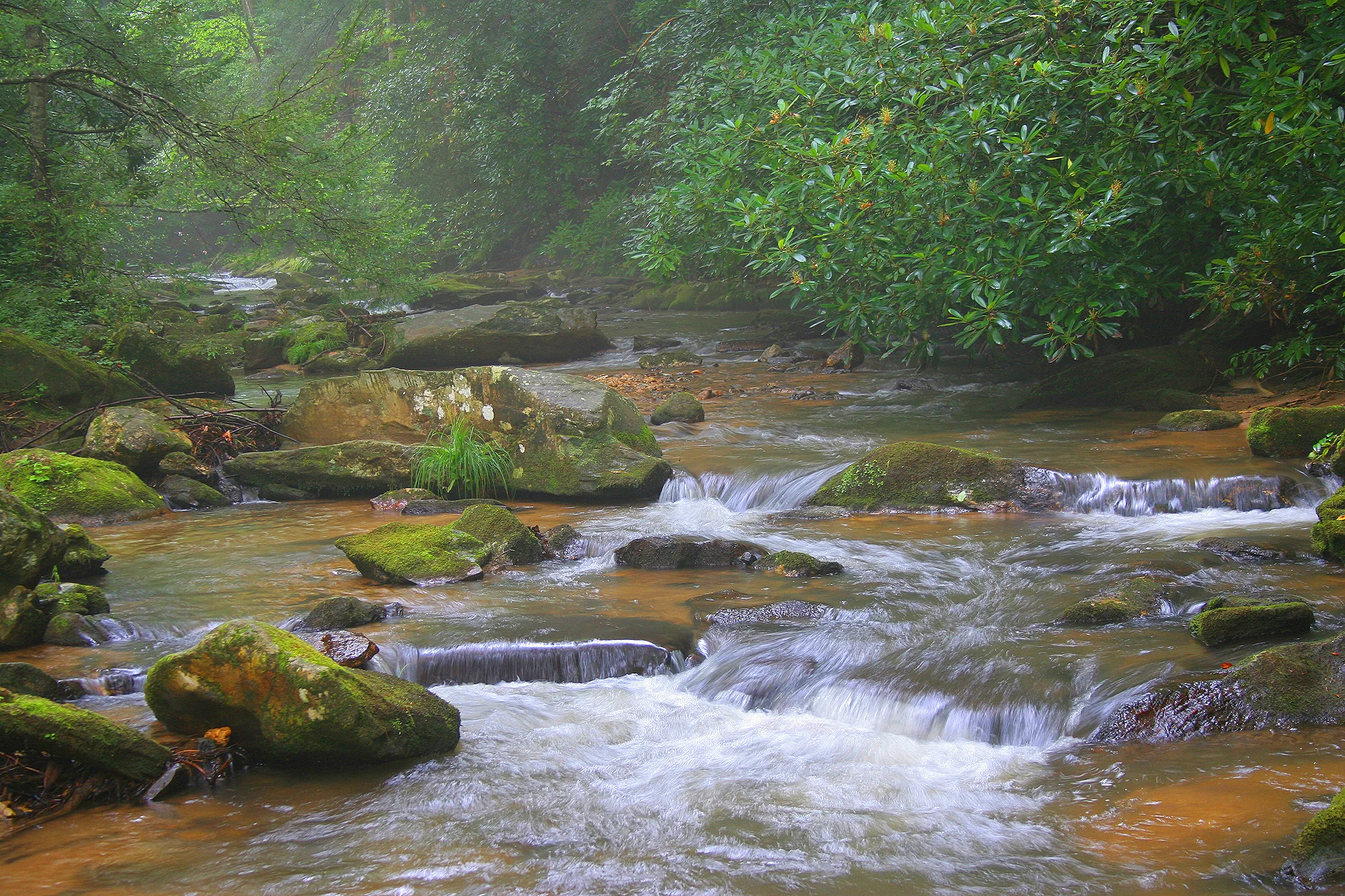 Mountain Stream