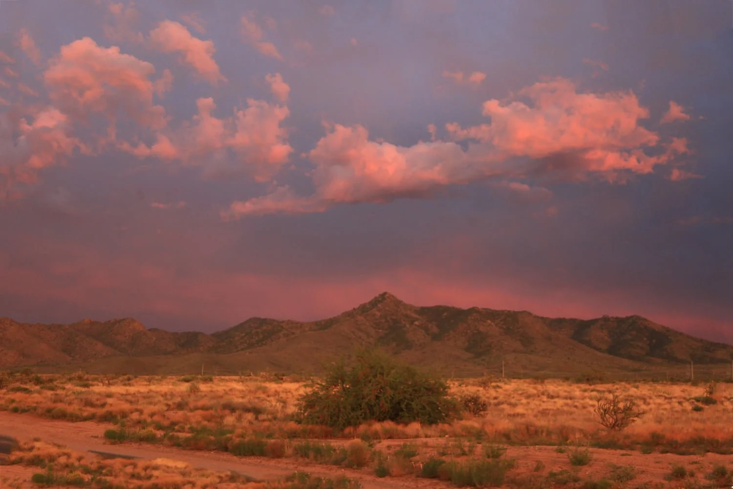 Pink Sky over Hualapais