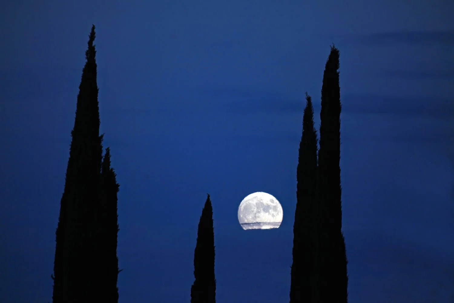 Cypress Moon, Kingman, AZ