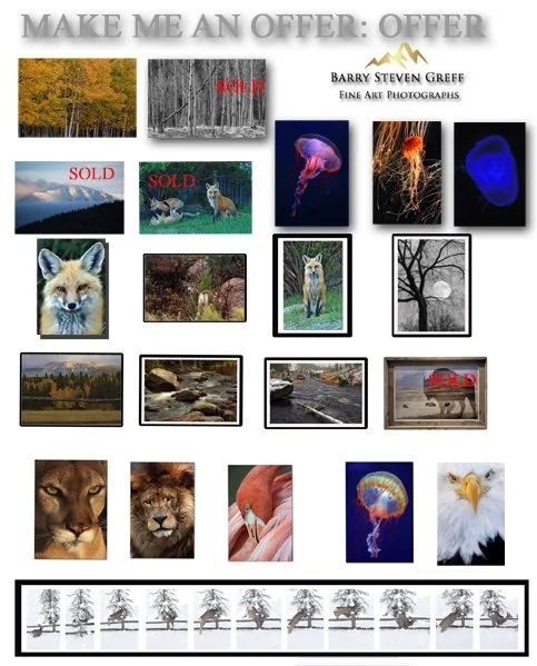 MAKE ME AN OFFER COMPOSITE