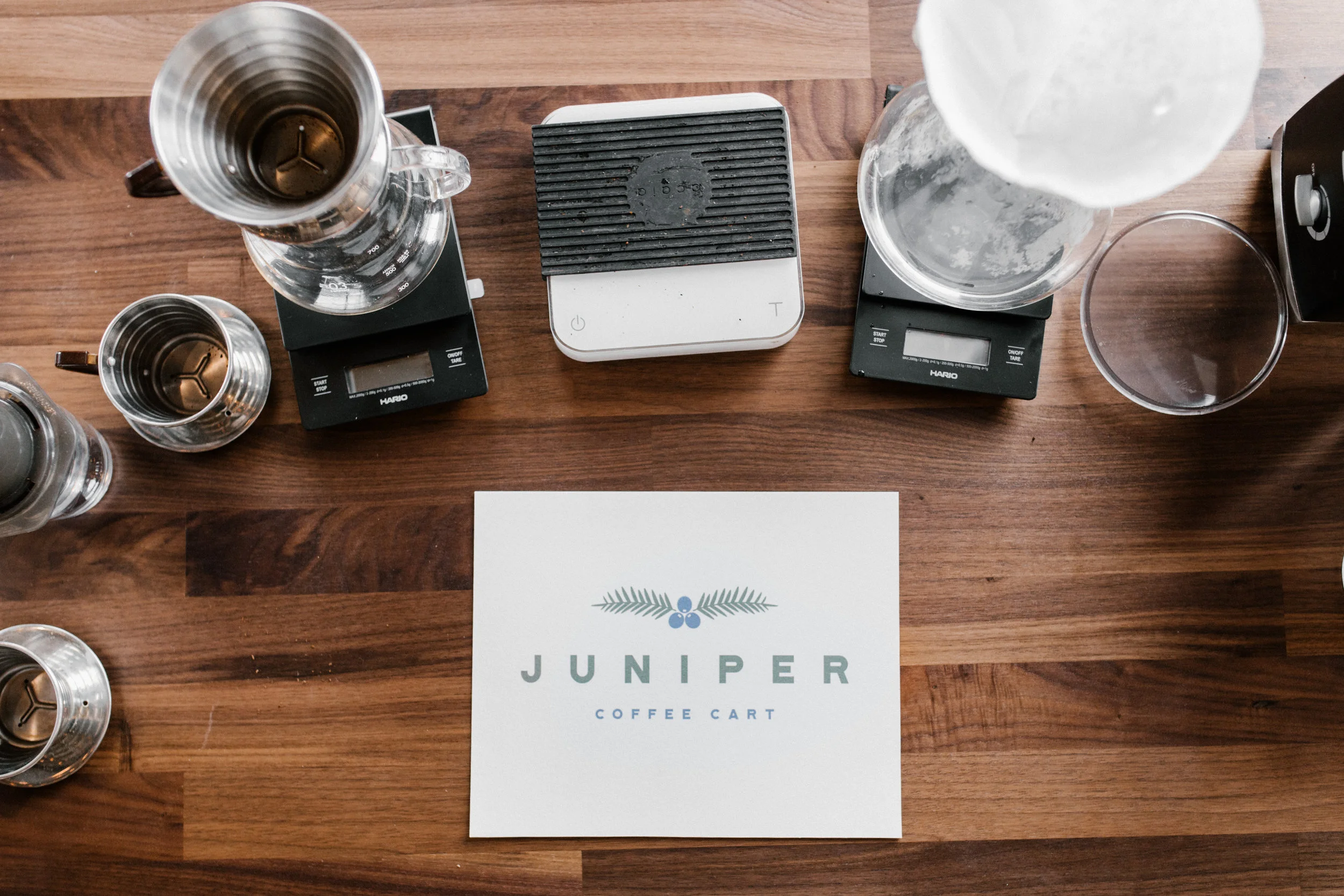 Juniper-1.jpg