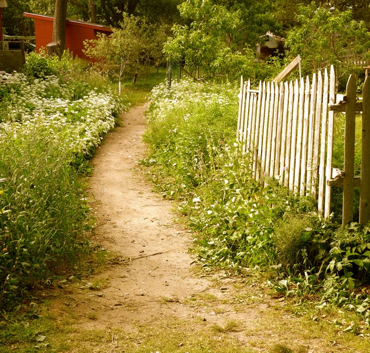 P1000899.jpg