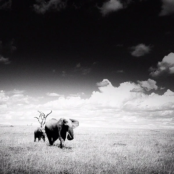 5 Emersonians You Need to Follow on Instagram