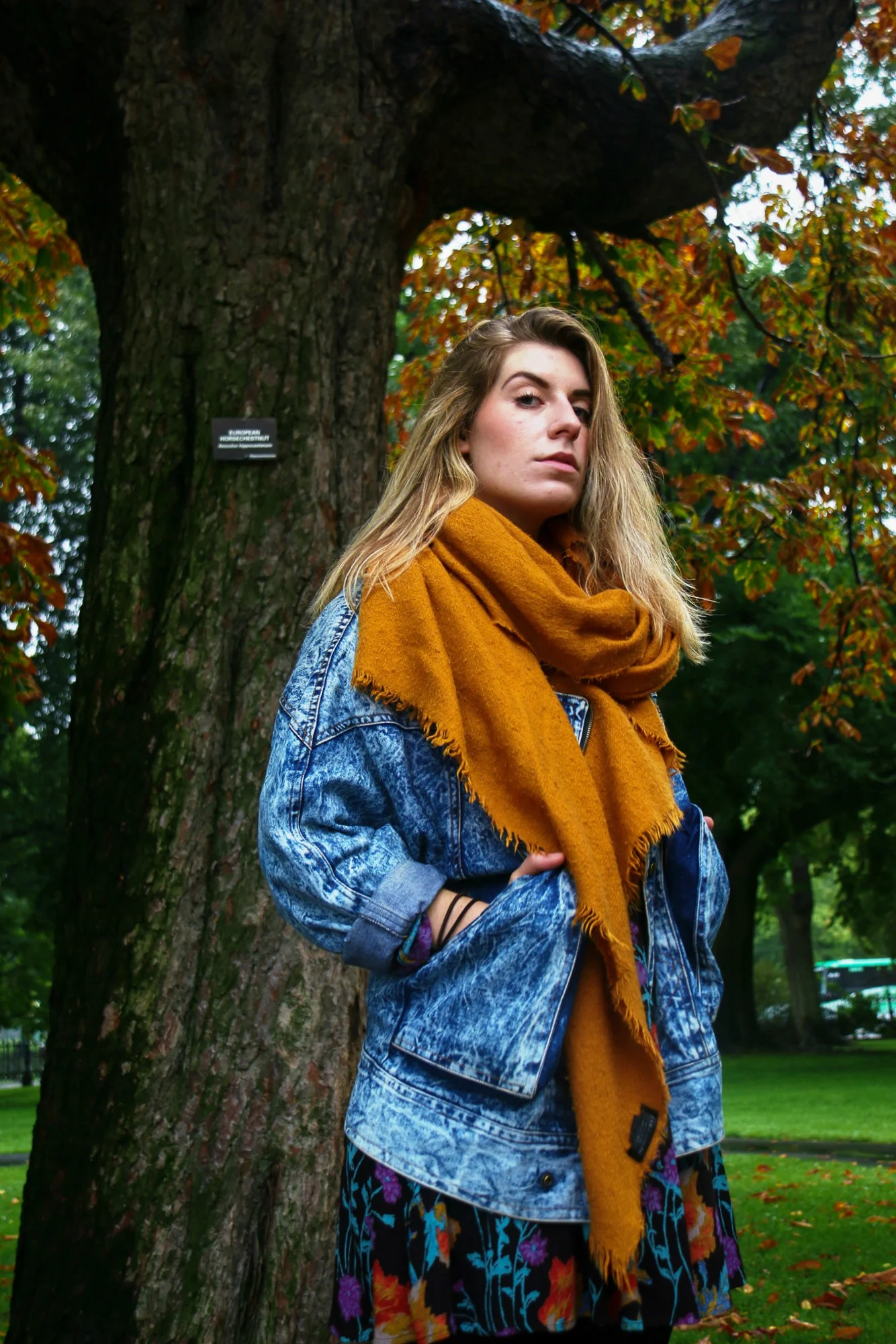 But You Don’t Look Like a Lesbian