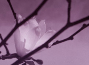 “The expression of independence is a growing narrative within society, with more and more people owning their sexuality and pleasure.” / Published in the April 2019 YM Issue