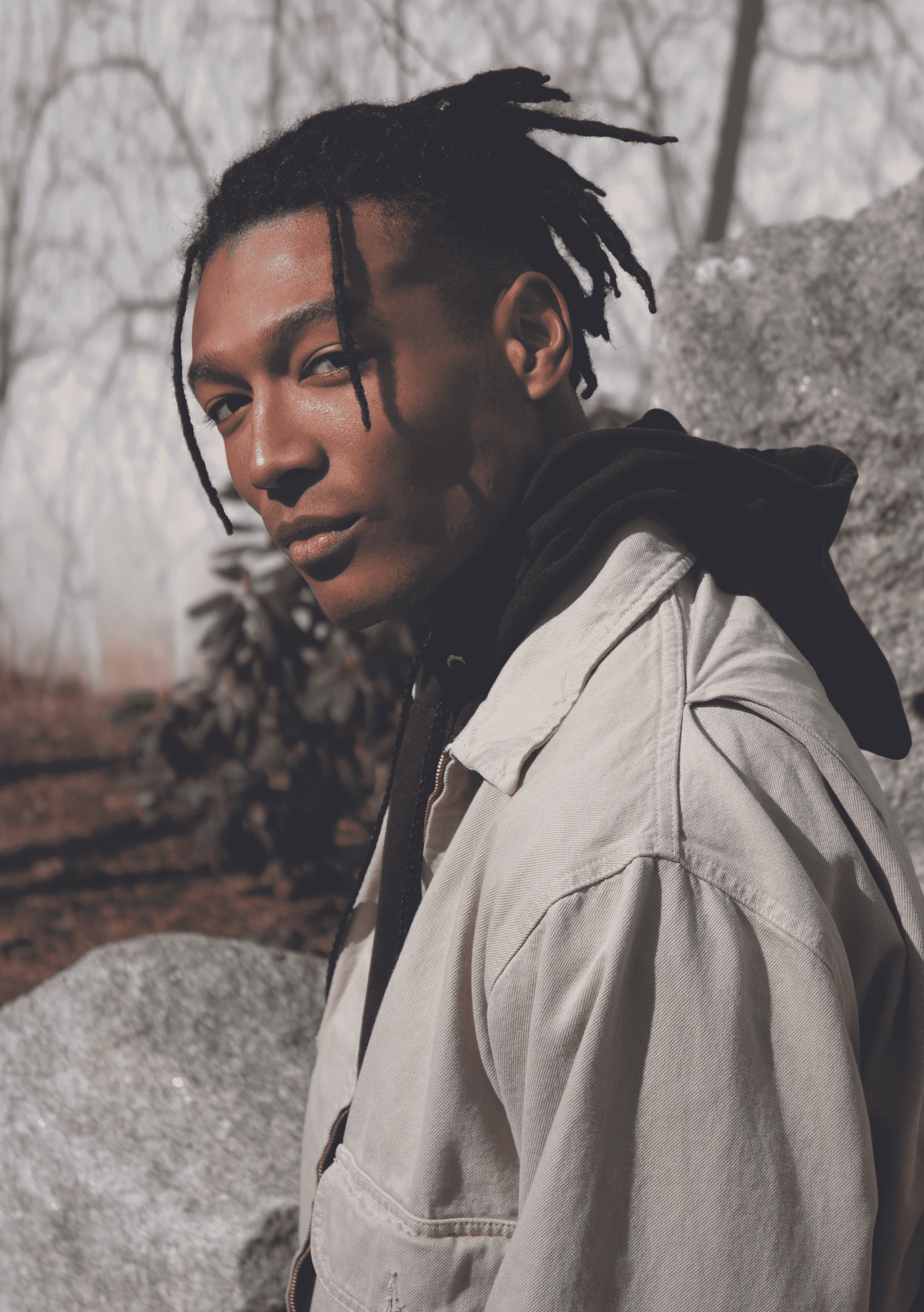 Model Status: A Stepping Stone