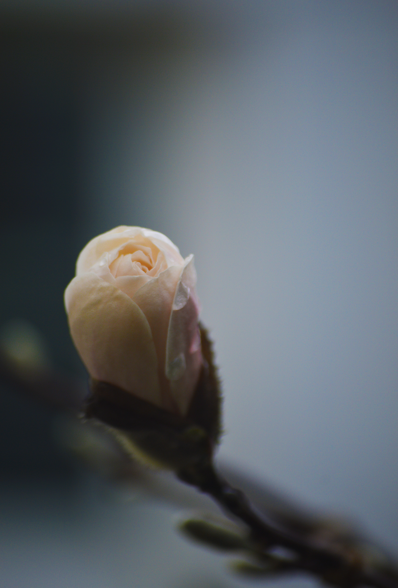 The Art of Taking Pleasure