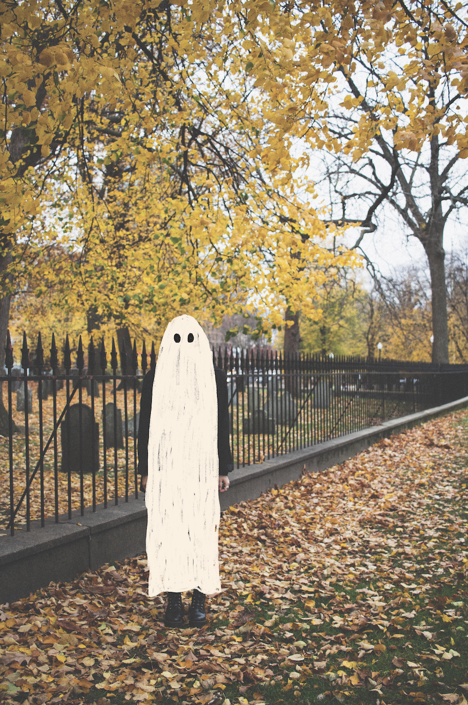 Phoebe F*cking Bridgers