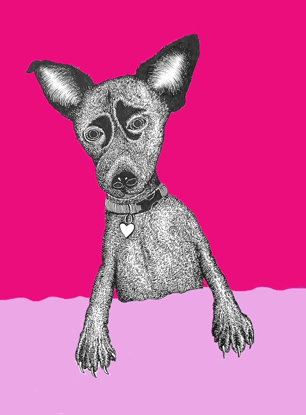 Pets Are Getting Us Through This