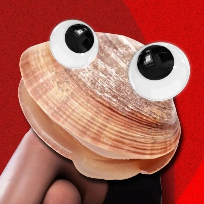 Itinerary for the History Teacher I Want(ed) to Bang