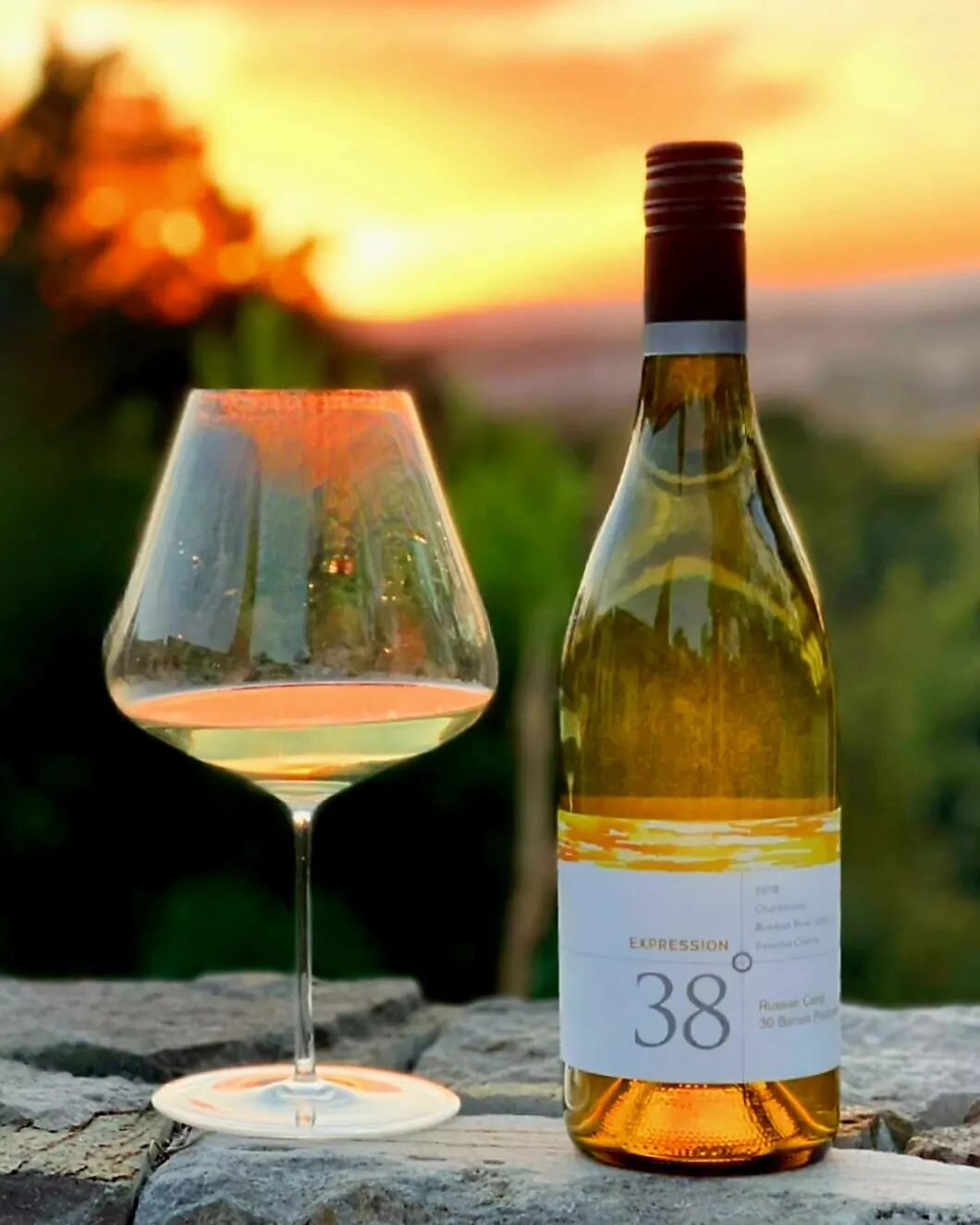 Catching that sunset 🌅❤️🥂

📸@elizabethrobertis
#chardonnay #wine #winetasting #dinner #sunset #goldenhour #cheers #view