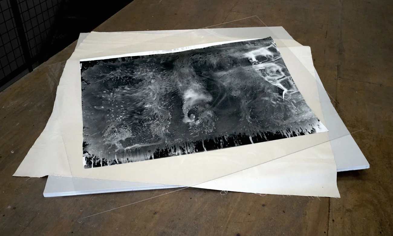 aerial view 3 2015 silver gelatin photogram on fiber-based paper, canvas, plexiglass, styrofoam Dimensions variable: H: 75 inches x W: 82 inches x D: 16 inches