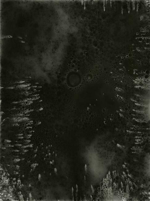  Normandy/Paris, June 2013, no. 2 2013 silver gelatin print photogram 16 inches x 12 inches unique Portfolio for Dust: Plates of the Present, Paris