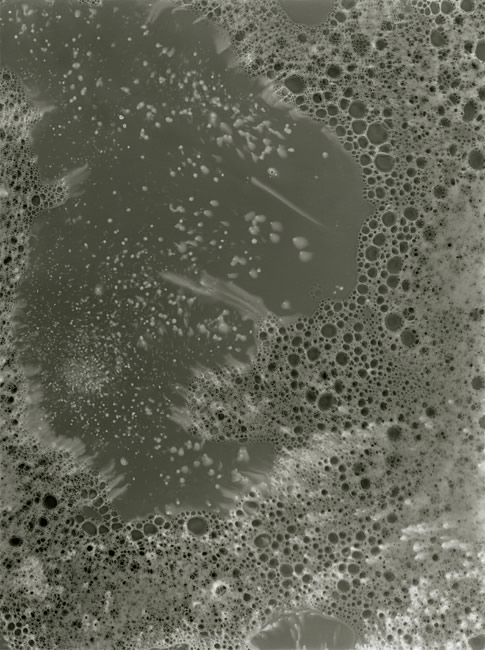  Normandy/Paris, June 2013, no. 2 2013 silver gelatin print photogram 16 inches x 12 inches unique Portfolio for Dust: Plates of the Present, Paris