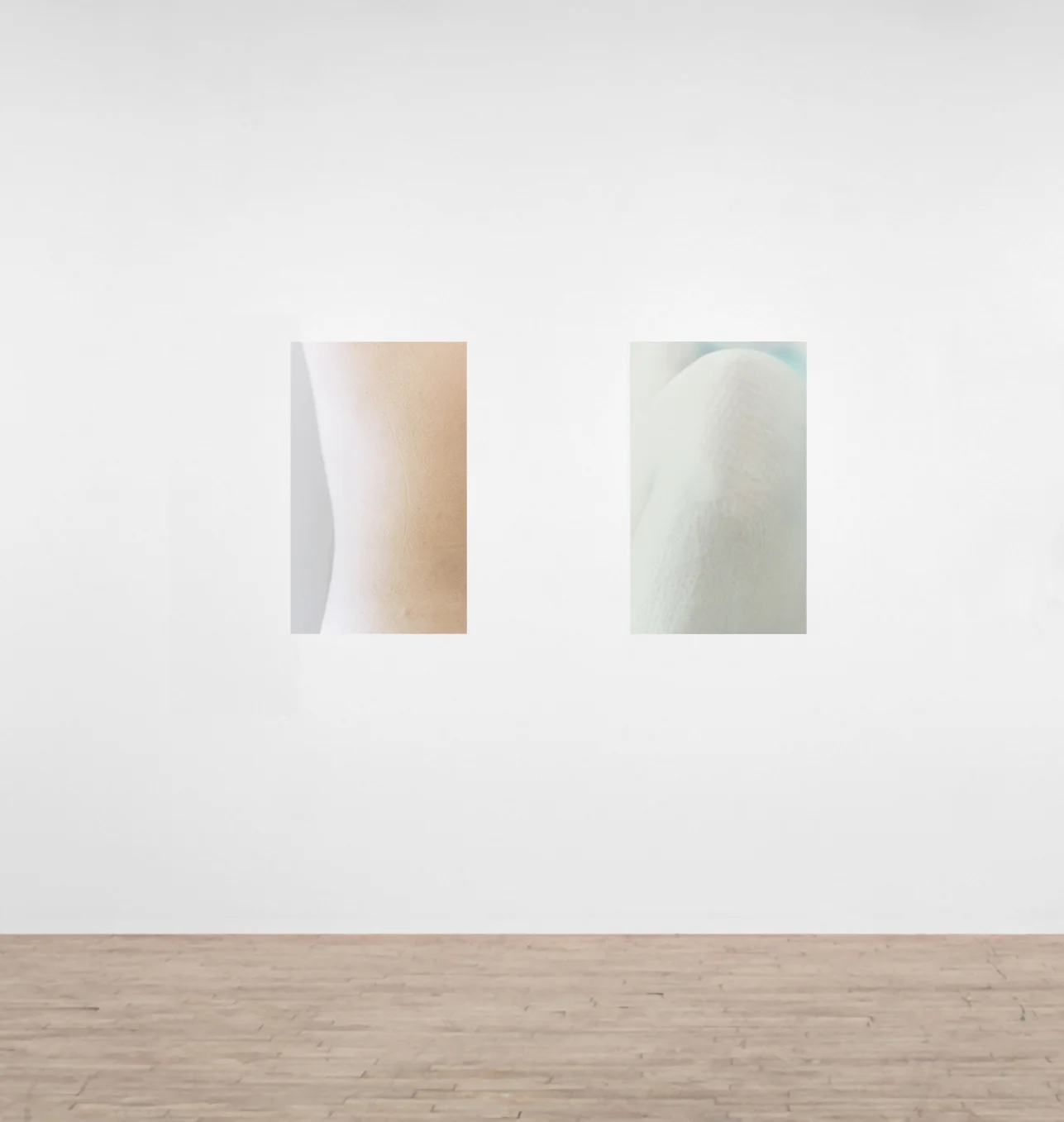 skin 1 & 2 (CY) installation view, self adhesive removable prints wallpaper mounted to wall 2002-2018 archival pigment print on matte photo tex each: 22 x 13 inches edition of 5 + 2 A/P