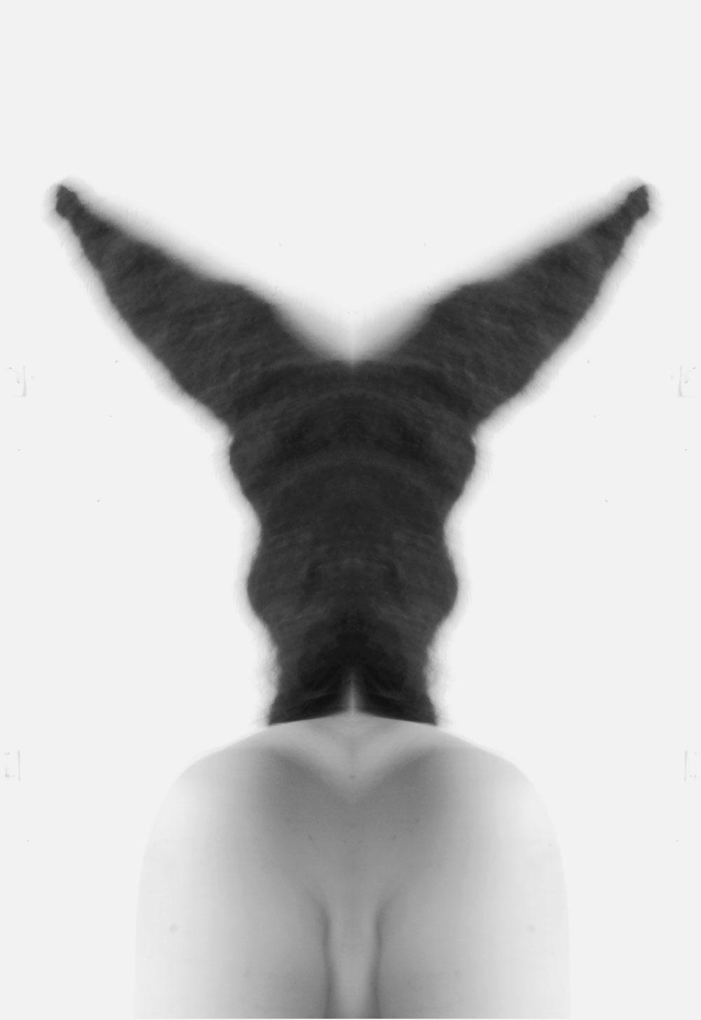 transformation 5 2013 — 2018 archival pigment print 35 x 23 x inches edition of 5 + 2 A/P