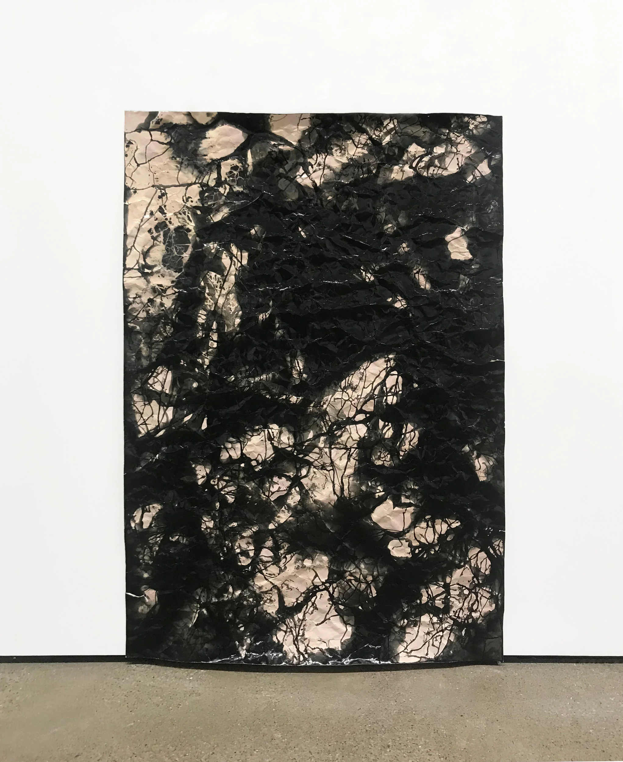 foldtogram (P-BLK-August-63-x 44) 2018 photogram, silver gelatin multigrade glossy RC 63 x 44 inches unique